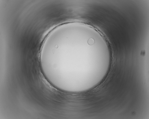 X0000113951460200911061253