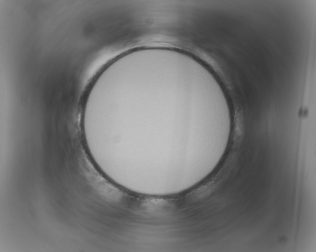 X0000113951462200911061253