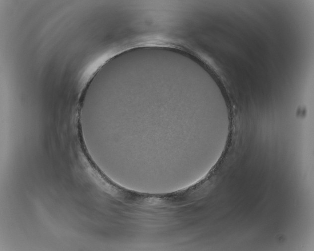 X0000113951463200911061253