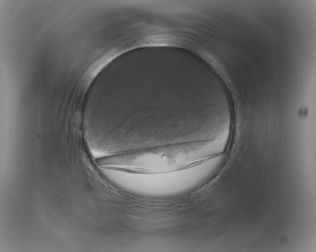 X0000113951465200911061253