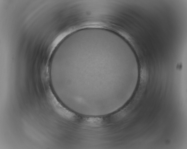 X0000113951466200911061253