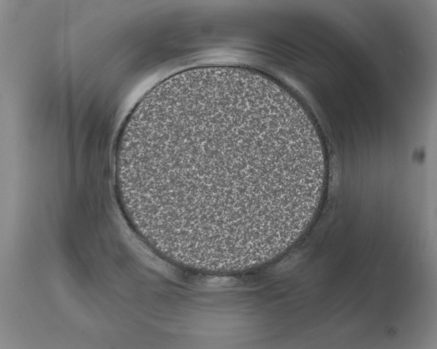 X0000113951467200911061253