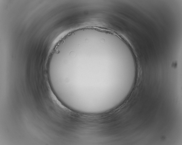 X0000113951468200911061253
