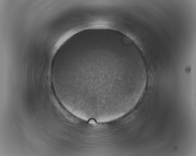 X0000113951469200911061253