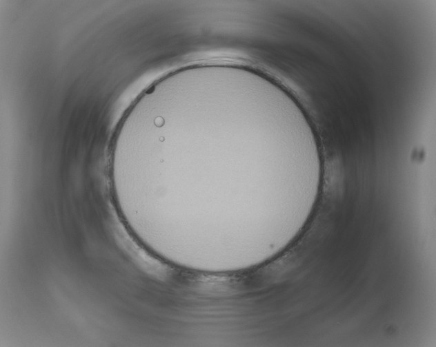 X0000113951470200911061253