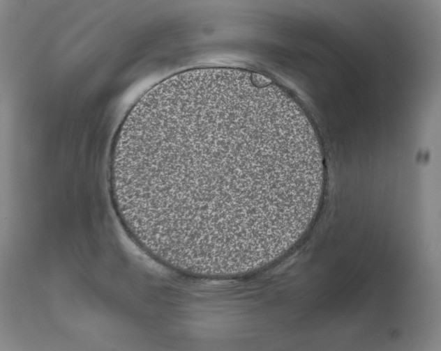 X0000113951471200911061253
