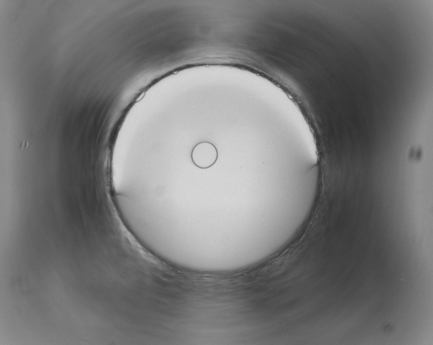 X0000113951472200911061253