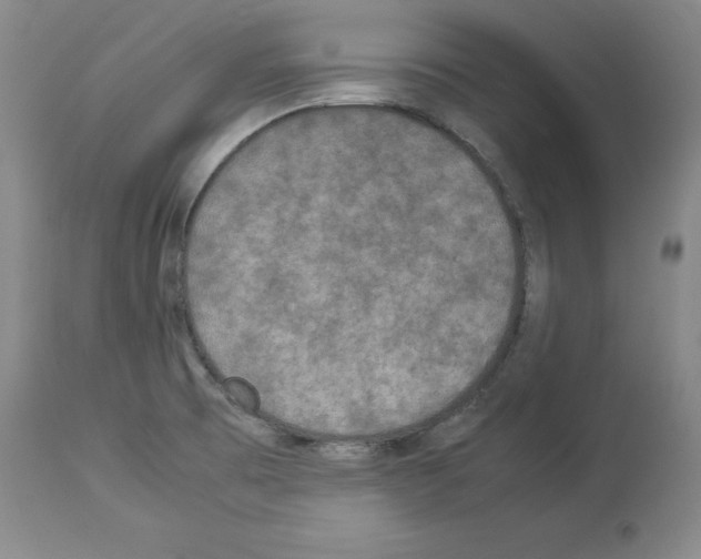 X0000113951473200911061253