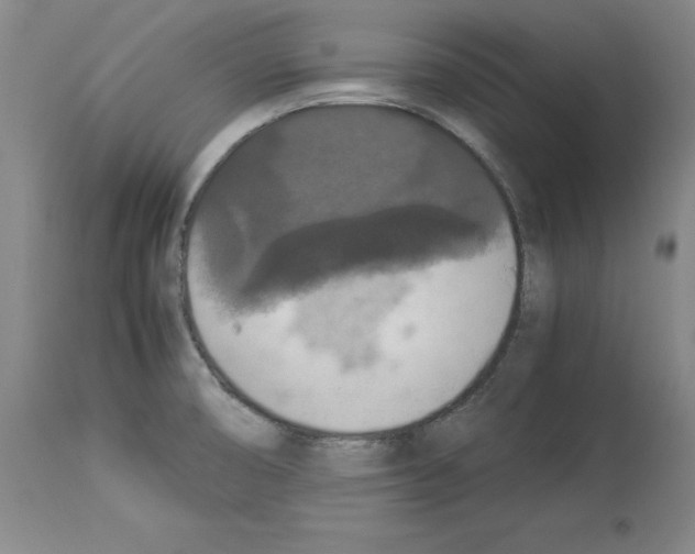 X0000113951474200911061252