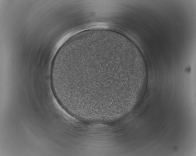 X0000113951475200911061252