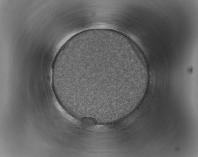 X0000113951476200911061252