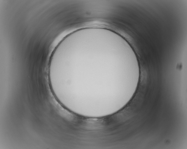 X0000113951478200911061252