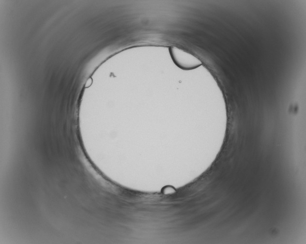 X0000113951479200911061252