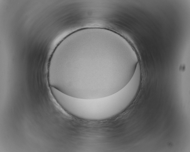 X0000113951480200911061252