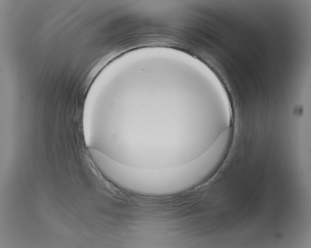 X0000113951481200911061252