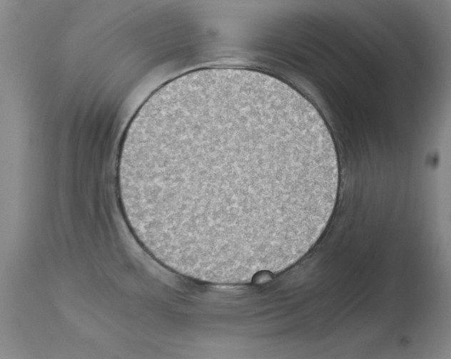 X0000113951483200911061252