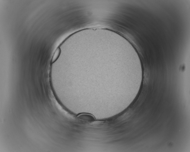 X0000113951484200911061252