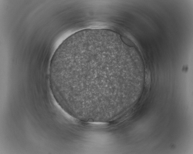 X0000113951487200911061252