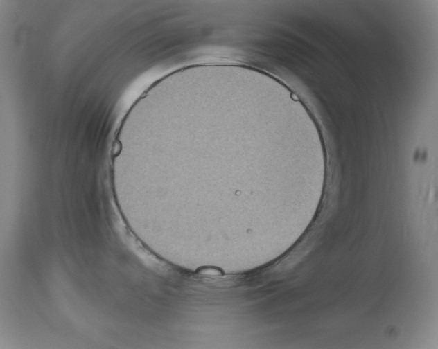 X0000113951488200911061252