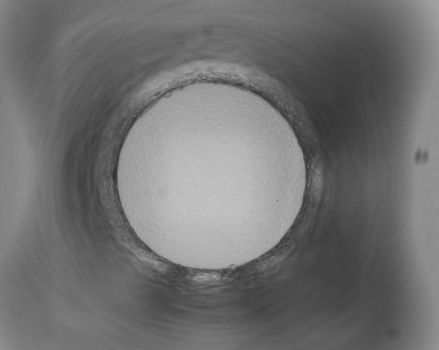 X0000113951489200911061252