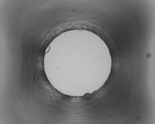 X0000113951490200911061252