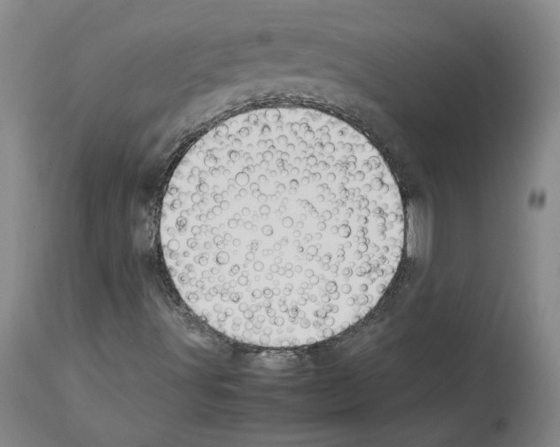 X0000113951491200911061252