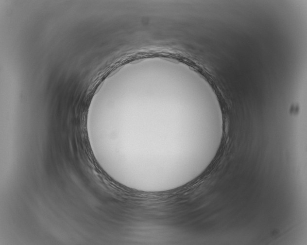 X0000113951492200911061252