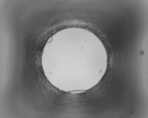 X0000113951493200911061252