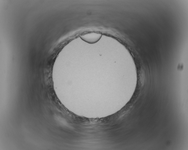 X0000113951494200911061252