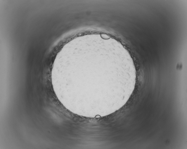 X0000113951495200911061252