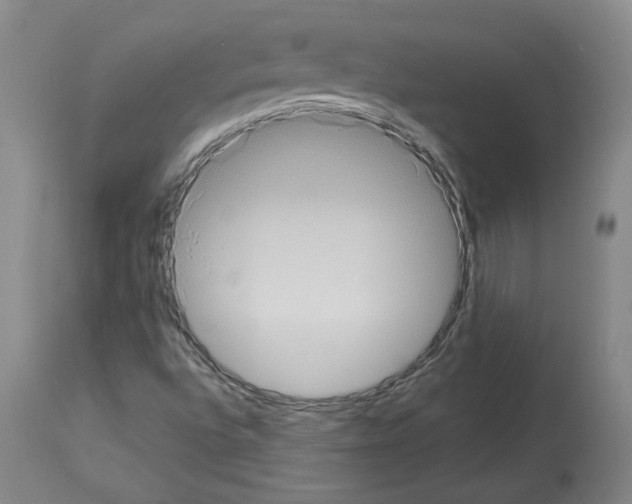 X0000113951496200911061252