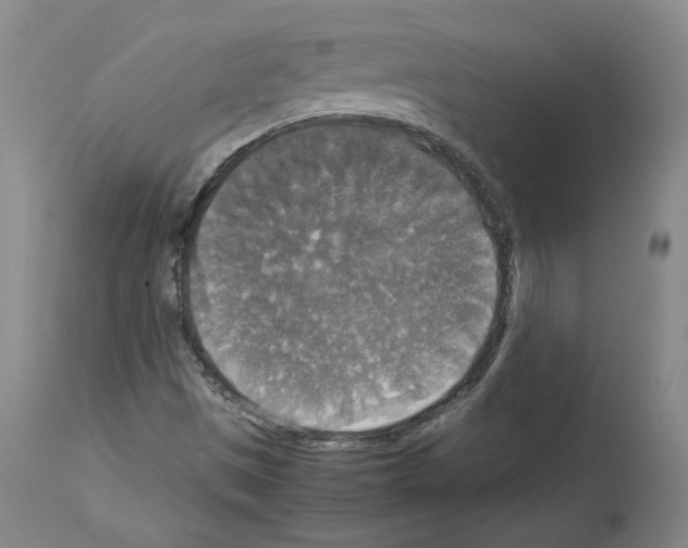 X0000113951497200911061252