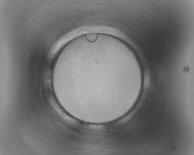 X0000113951498200911061252