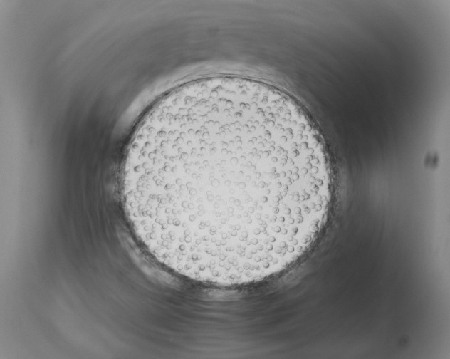 X0000113951499200911061252