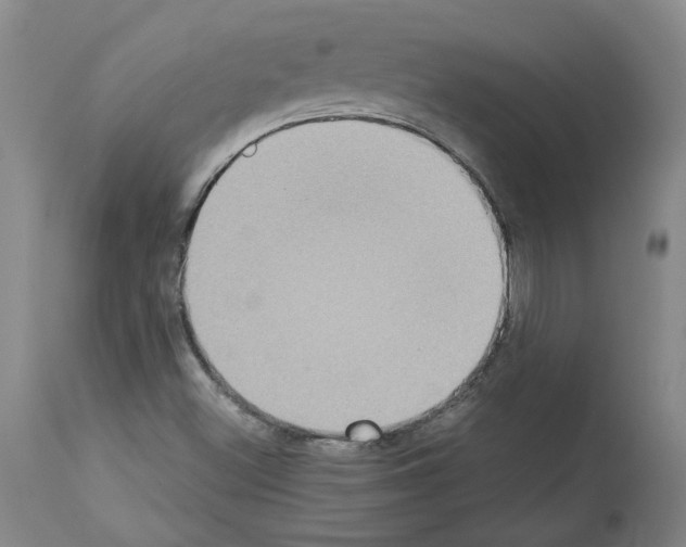 X0000113951500200911061252