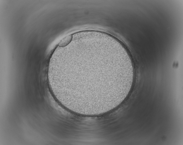 X0000113951504200911061252