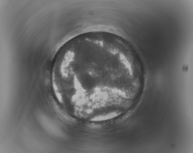 X0000113951505200911061252