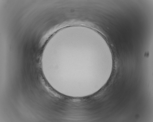 X0000113951507200911061252