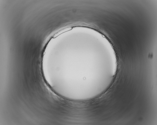 X0000113951508200911061252