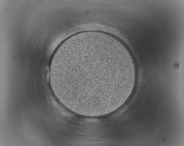 X0000113951509200911061252