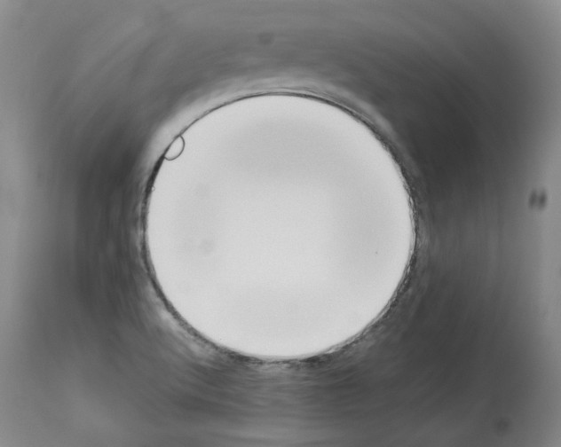 X0000113951512200911061252