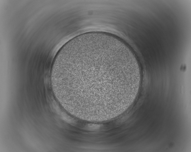 X0000113951513200911061252