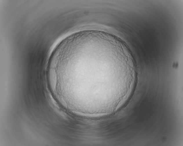 X0000113951514200911061252