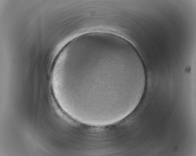 X0000113951515200911061252