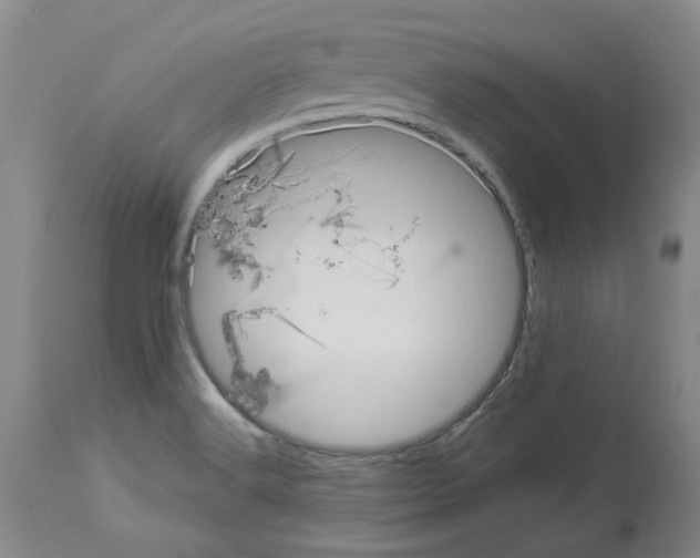 X0000113951516200911061252