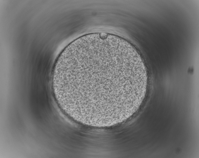 X0000113951517200911061252