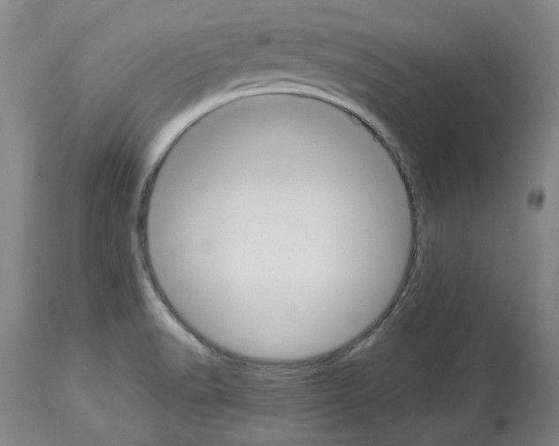 X0000113951518200911061252