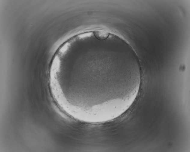 X0000113951519200911061252