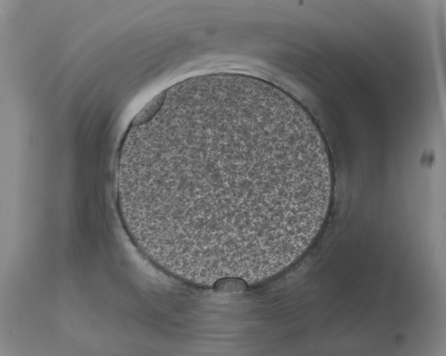 X0000113951520200911061252
