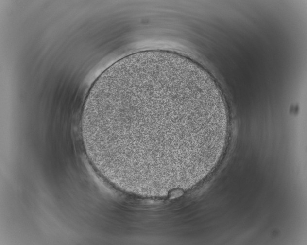 X0000113951521200911061252
